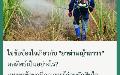 ยาฆ่าหญ้าถาวร… จริงหรือ? ข้อเท็จจริงที่ควรรู้ก่อนตัดสินใจ