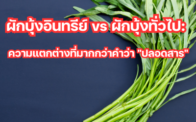 ผักบุ้งอินทรีย์ vs ผักบุ้งทั่วไป: ความแตกต่างที่มากกว่าคำว่า “ปลอดสาร”