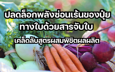 ปลดล็อกพลังซ่อนเร้นของปุ๋ยทางใบด้วยสารจับใบ: เคล็ดลับสูตรผสมพิชิตผลผลิต